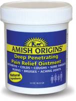 Health & Beauty - Ointments - Amish Origins - Amish Origins Deep Penetrating Pain Relief Ointment 3.5 oz