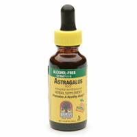 Nature's Answer - Nature's Answer Astragalus Alcohol Free Extract 1 oz
