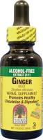 Nature's Answer Ginger Root Alcohol Free Extract 1 oz