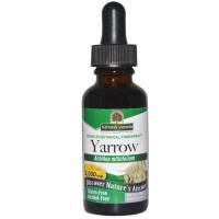 Nature's Answer Yarrow Flowers Alcohol Free Extract 1 oz