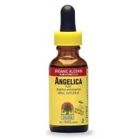 Nature's Answer - Nature's Answer Angelica Root Extract 1 oz
