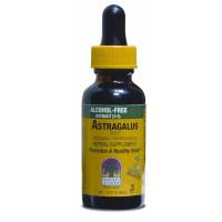 Nature's Answer - Nature's Answer Astragalus Extract 1 oz