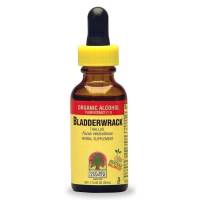 Nature's Answer - Nature's Answer Bladderwrack Extract 1 oz